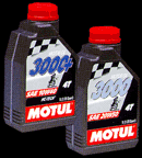 motul 3000